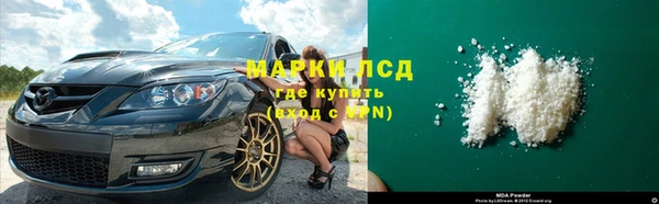 ГАЛЛЮЦИНОГЕННЫЕ ГРИБЫ Ладушкин