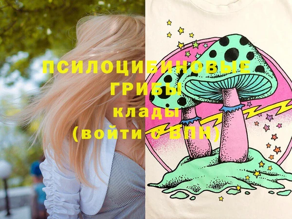 ГАЛЛЮЦИНОГЕННЫЕ ГРИБЫ Ладушкин