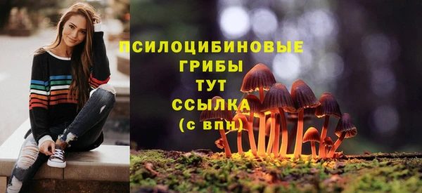 ГАЛЛЮЦИНОГЕННЫЕ ГРИБЫ Ладушкин
