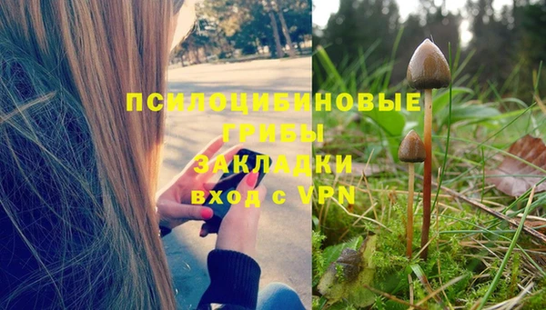 ГАЛЛЮЦИНОГЕННЫЕ ГРИБЫ Ладушкин