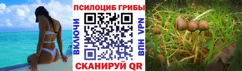 Псилоцибиновые грибы ЛСД  Старый Крым 